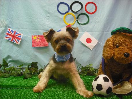 ファイル 4539-2.jpg