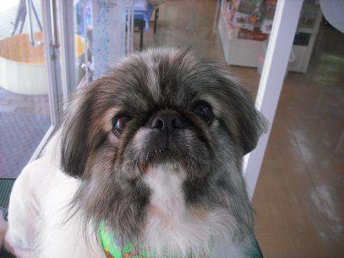 ファイル 454-1.jpg