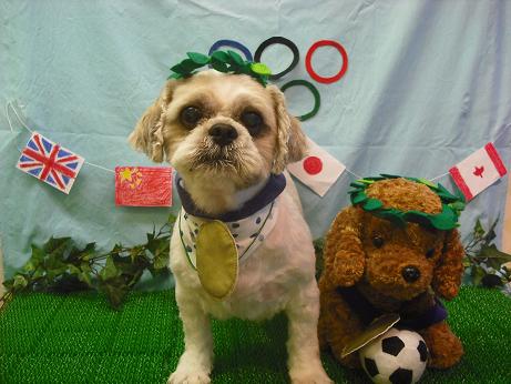 ファイル 4541-1.jpg