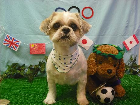 ファイル 4541-2.jpg