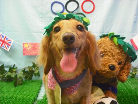 ファイル 4542-1.jpg