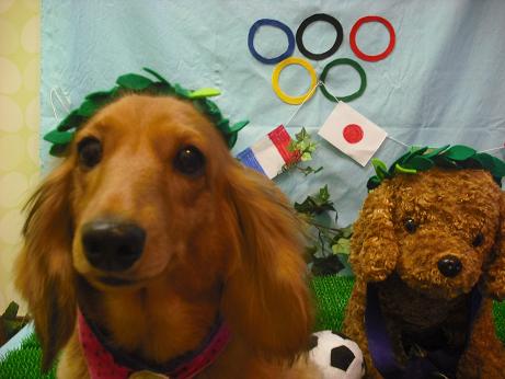 ファイル 4545-1.jpg