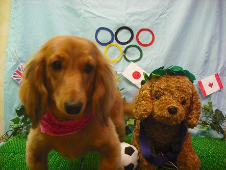 ファイル 4545-2.jpg