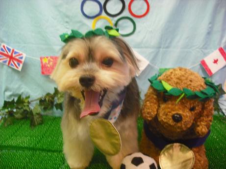 ファイル 4546-1.jpg