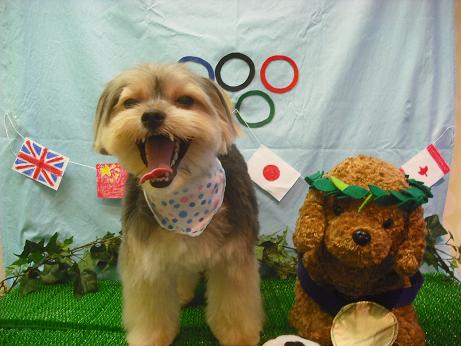 ファイル 4546-2.jpg