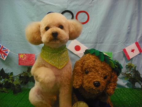 ファイル 4547-2.jpg