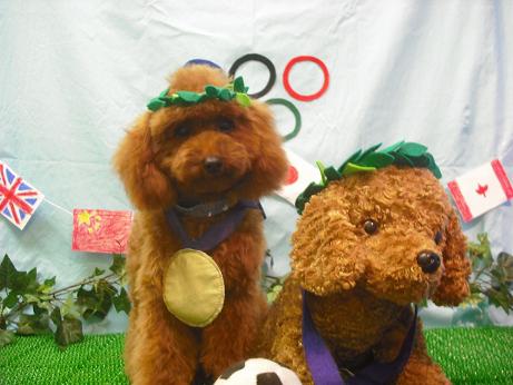 ファイル 4548-1.jpg