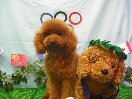 ファイル 4548-2.jpg