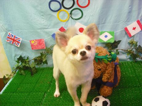 ファイル 4549-2.jpg