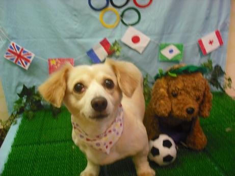 ファイル 4550-2.jpg