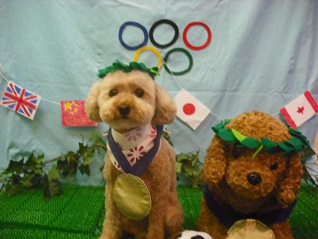 ファイル 4551-1.jpg