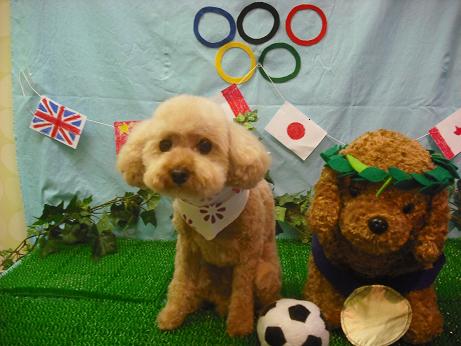 ファイル 4551-2.jpg