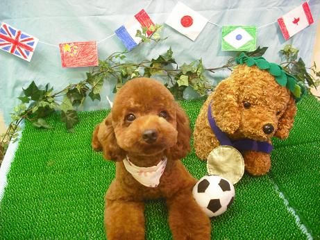 ファイル 4552-2.jpg