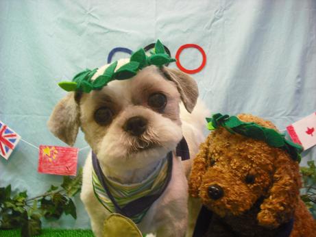 ファイル 4553-1.jpg