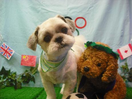 ファイル 4553-2.jpg