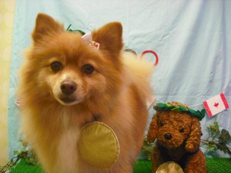 ファイル 4555-1.jpg