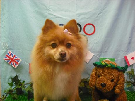 ファイル 4555-2.jpg