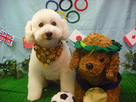 ファイル 4556-2.jpg