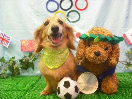 ファイル 4557-2.jpg