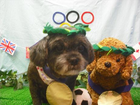 ファイル 4558-1.jpg