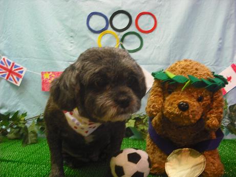 ファイル 4558-2.jpg