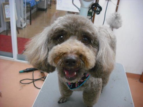 ファイル 456-1.jpg