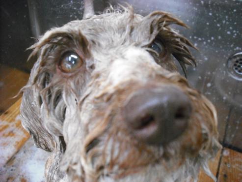 ファイル 456-2.jpg