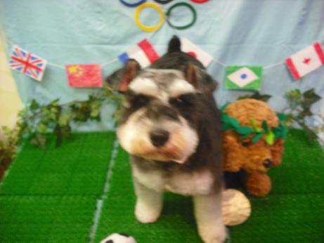 ファイル 4561-2.jpg