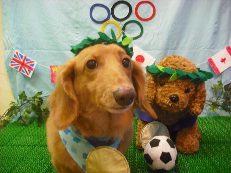 ファイル 4563-1.jpg