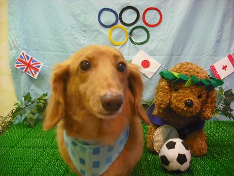 ファイル 4563-2.jpg