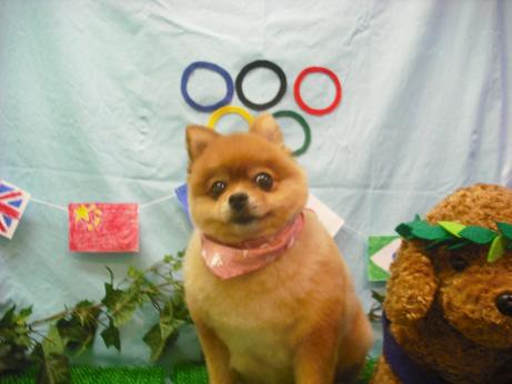 ファイル 4564-2.jpg