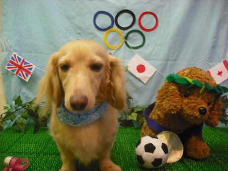 ファイル 4565-2.jpg