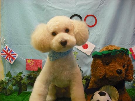 ファイル 4567-2.jpg