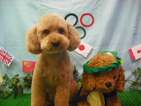 ファイル 4568-2.jpg