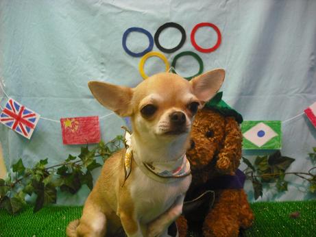 ファイル 4569-2.jpg