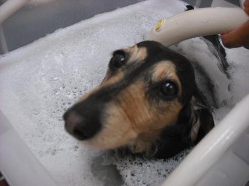 ファイル 457-2.jpg