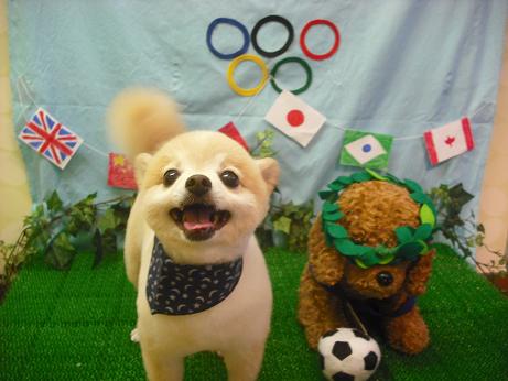 ファイル 4570-2.jpg