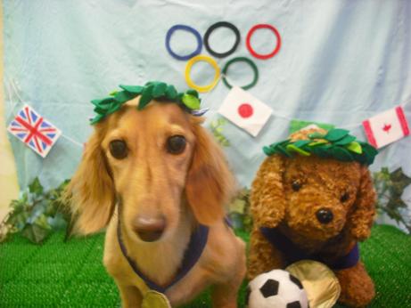 ファイル 4573-1.jpg