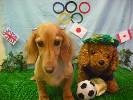 ファイル 4573-2.jpg