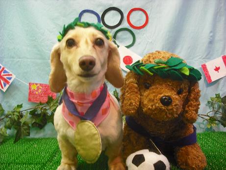 ファイル 4574-1.jpg