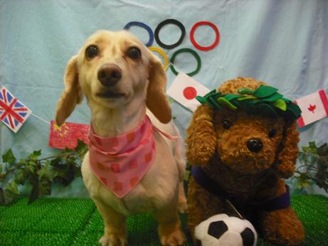 ファイル 4574-2.jpg