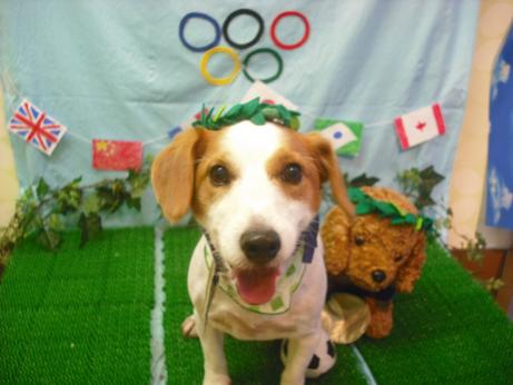 ファイル 4575-1.jpg