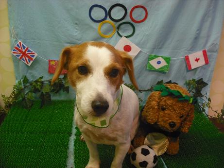 ファイル 4575-2.jpg