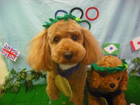 ファイル 4576-1.jpg