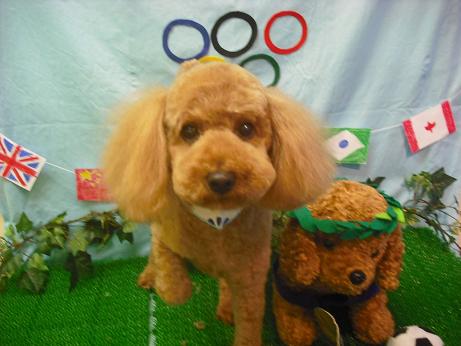 ファイル 4576-2.jpg