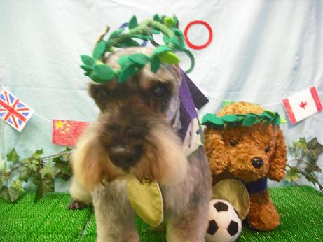 ファイル 4577-1.jpg