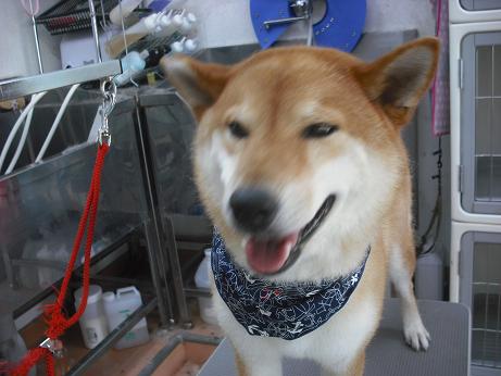 ファイル 4578-2.jpg