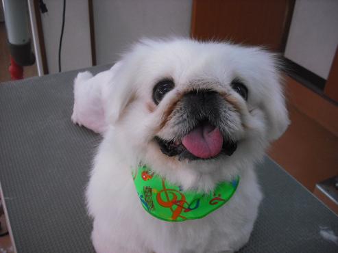 ファイル 458-1.jpg