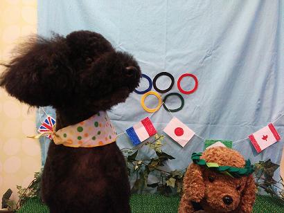 ファイル 4580-2.jpg