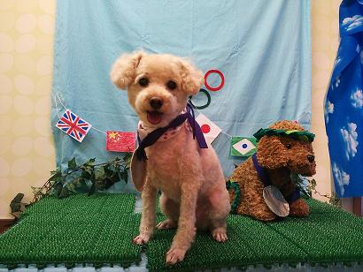 ファイル 4581-1.jpg